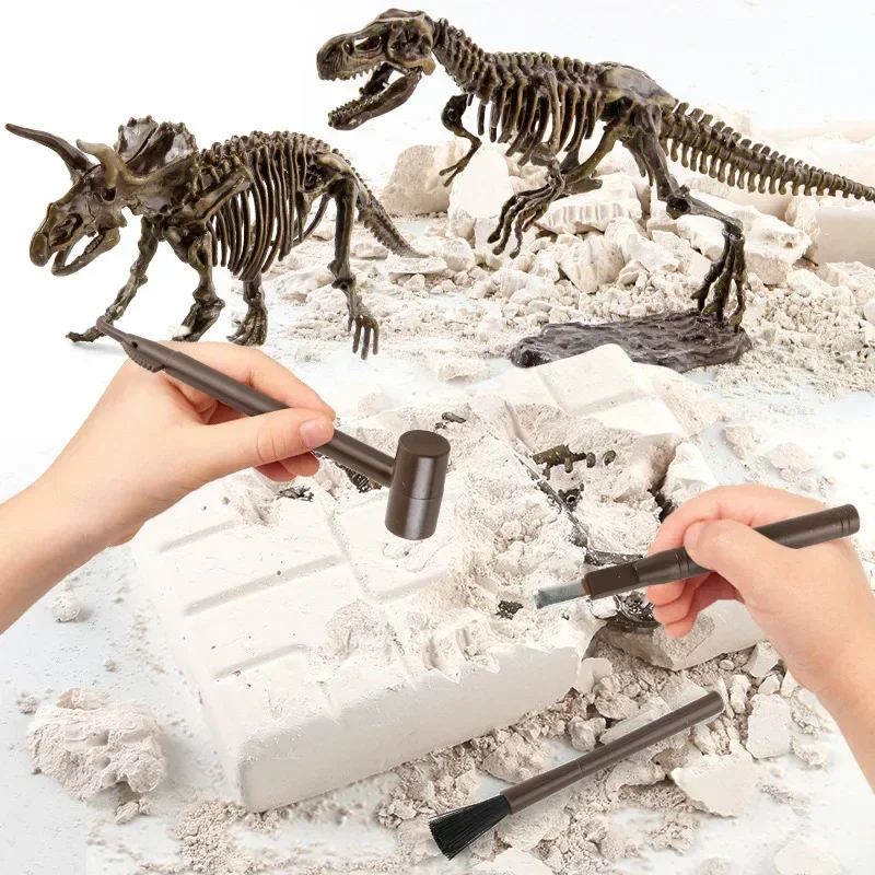 Model Kit Dinosaur - Excavation de dinosaures, archéologie fossile, jouet