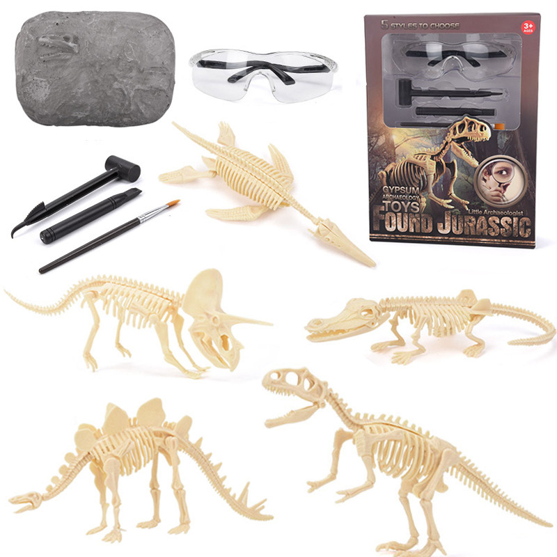 Model Kit Dinosaur - Kit d'excavation de fossiles de dinosaures
