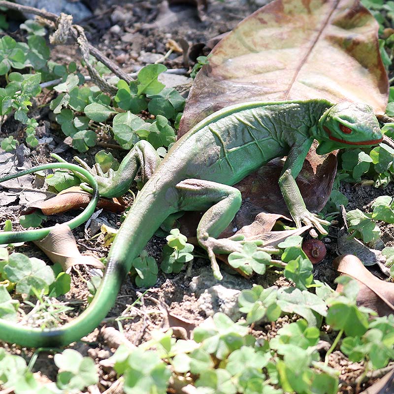 Oenux-Modèle de ferme sauvage  - Model Kit Lizard avis et prix