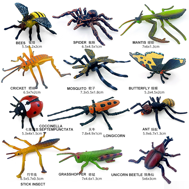 12 pièces insectes sauvages an - Model Kit Lizard avis et prix