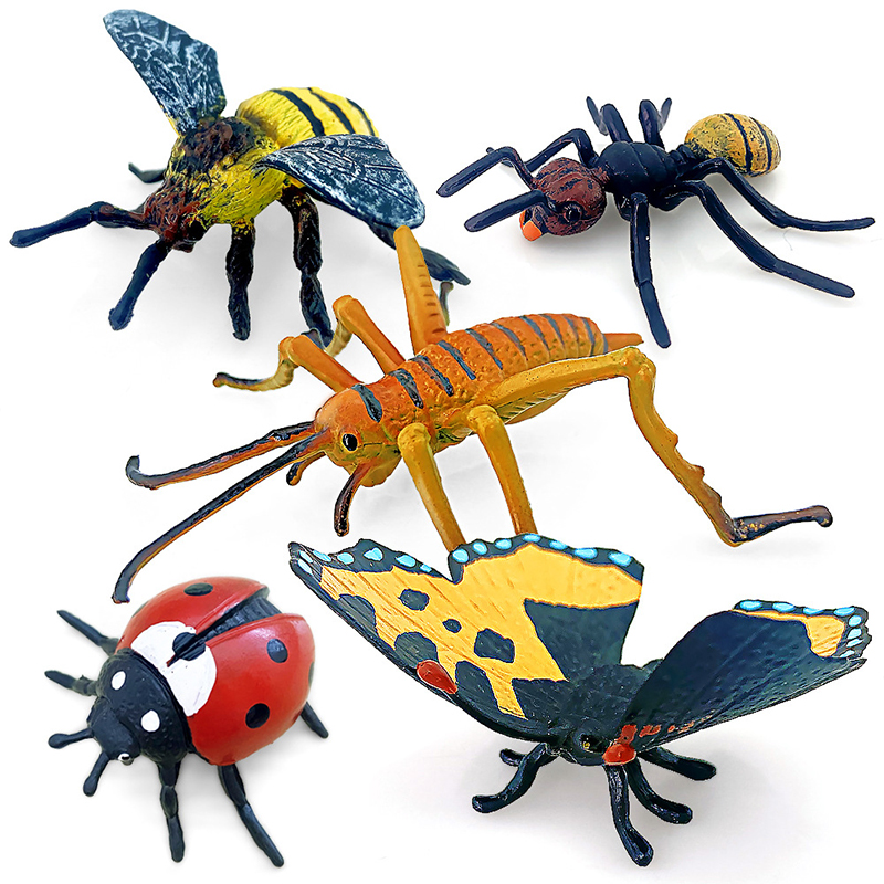 12 pièces insectes sauvages an - Model Kit Lizard avis et prix