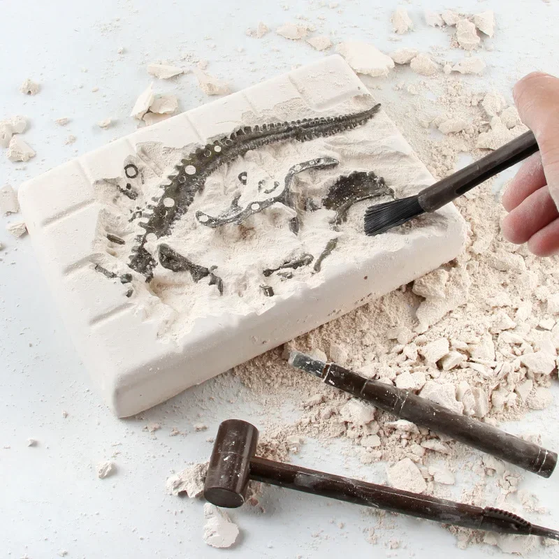 Excavation de dinosaures, arch - Model Kit Dinosaur avis et prix