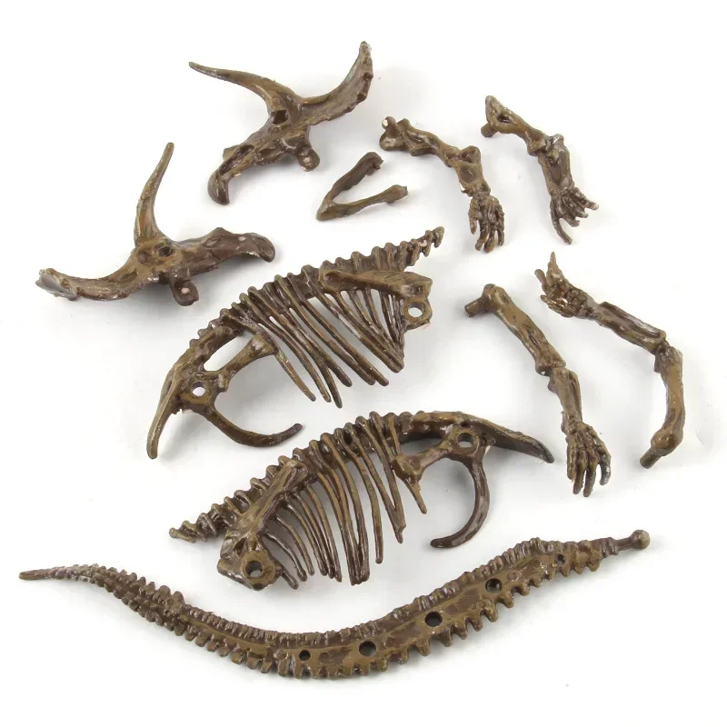 Excavation de dinosaures, arch - Model Kit Dinosaur avis et prix