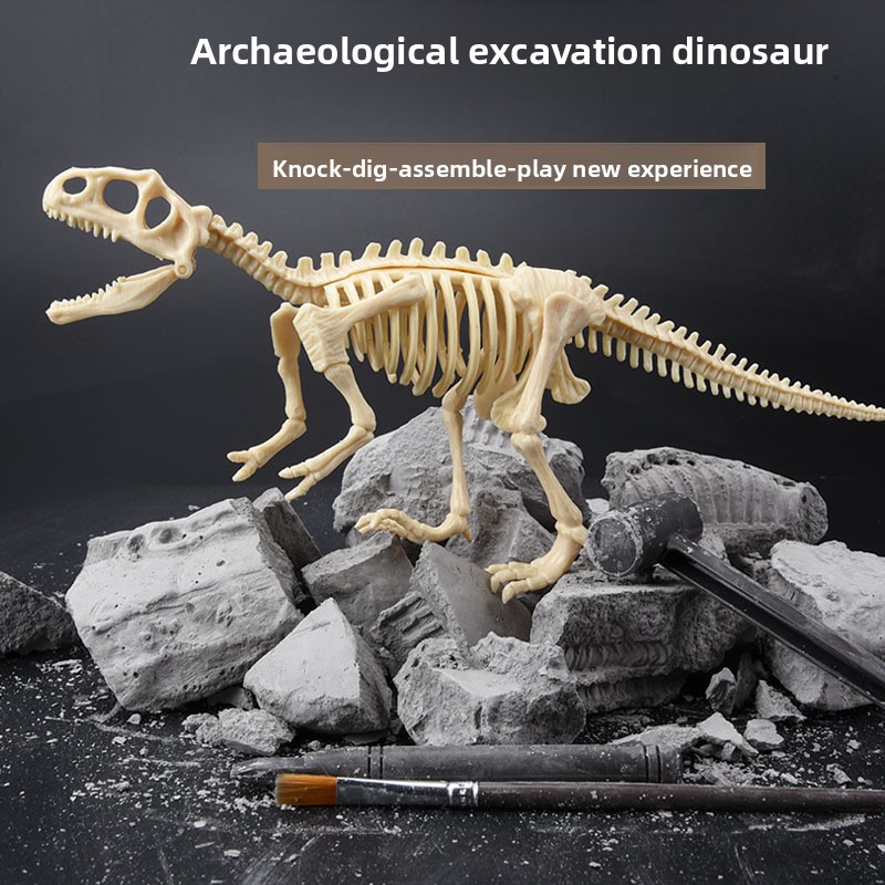 Kit d'excavation de fossiles d - Model Kit Dinosaur avis et prix