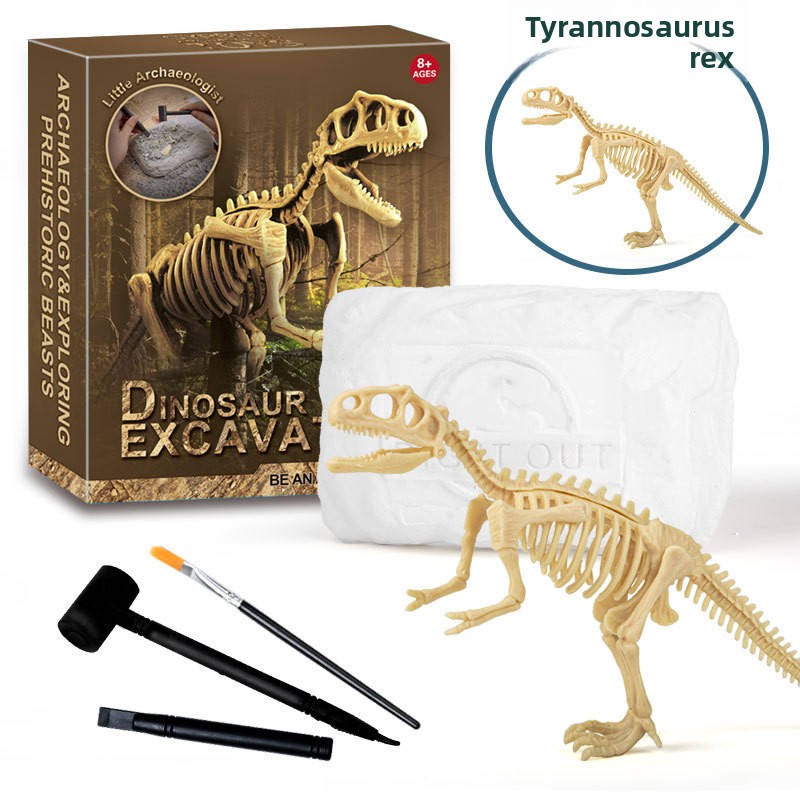 Kit d'excavation de fossiles d - Model Kit Dinosaur avis et prix