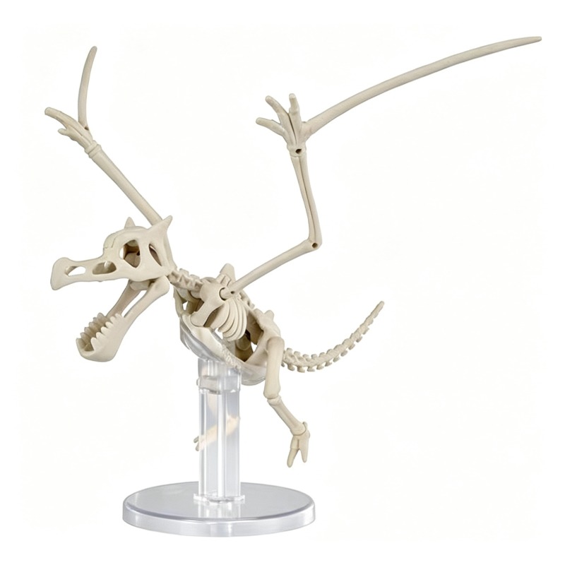 Modèle en plastique Bandai Pok - Model Kit Kyogre avis et prix