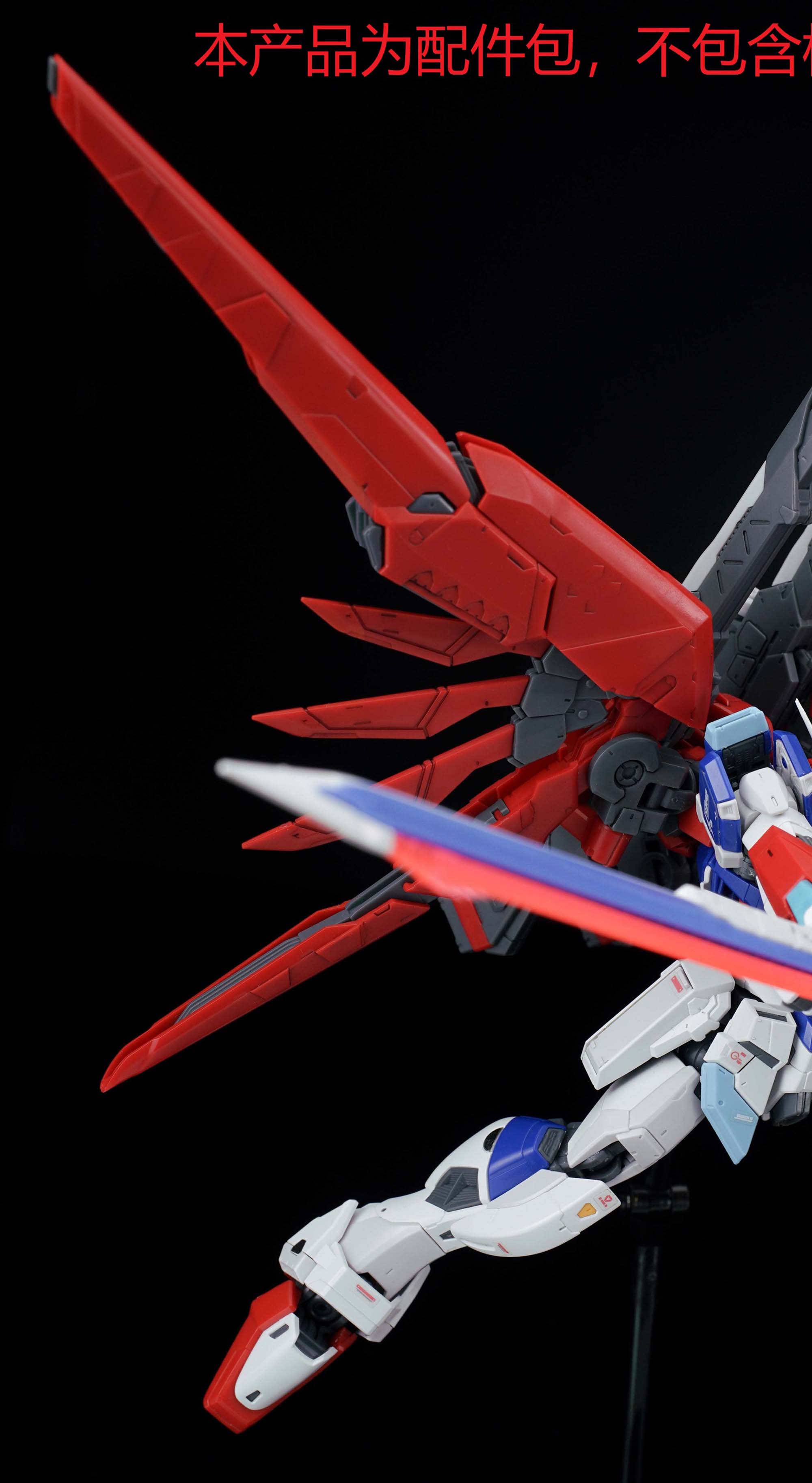 EW RG 031 1/144 Destiny Impuls - Model Kit Keroro avis et prix