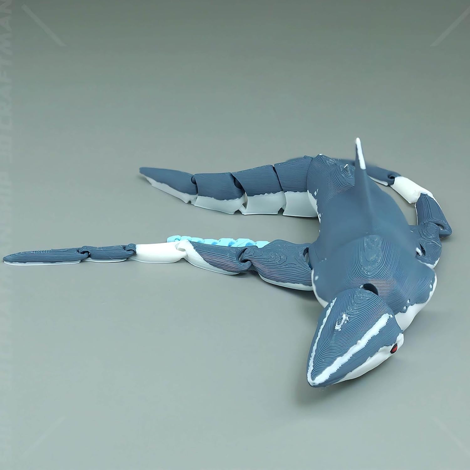 Modèle de Mosasaurus articulé  - Model Kit Kyogre avis et prix